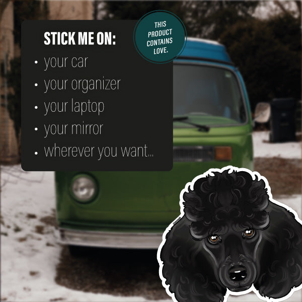 POODLE BLACK