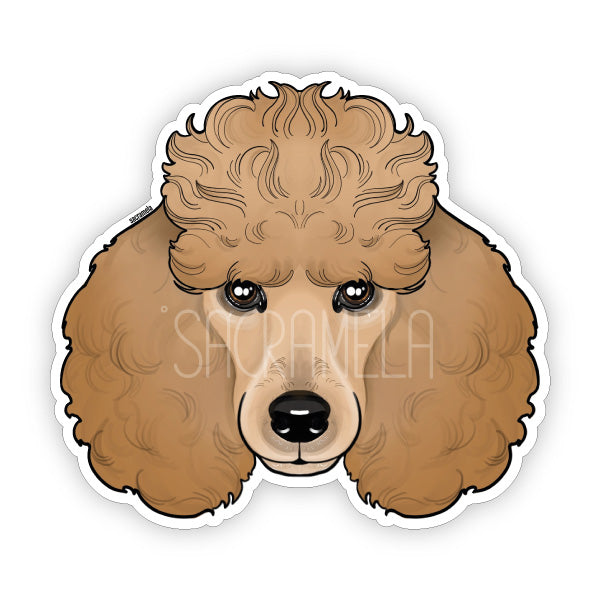 POODLE BROWN