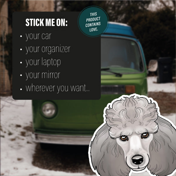 POODLE GREY
