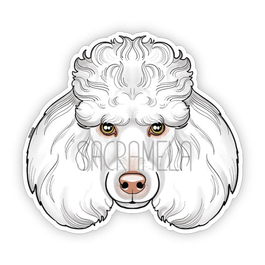 POODLE WHITE
