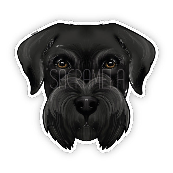 GIANT SCHNAUZER BLACK