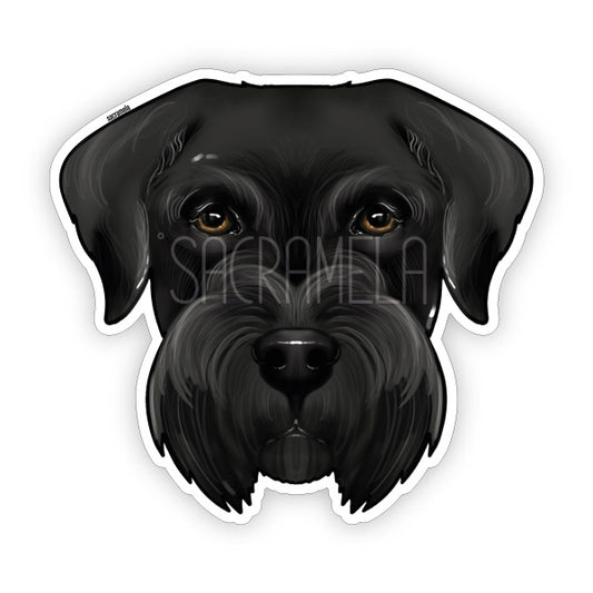 GIANT SCHNAUZER BLACK