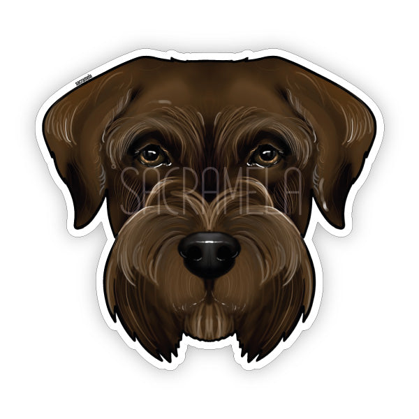 GIANT SCHNAUZER BROWN