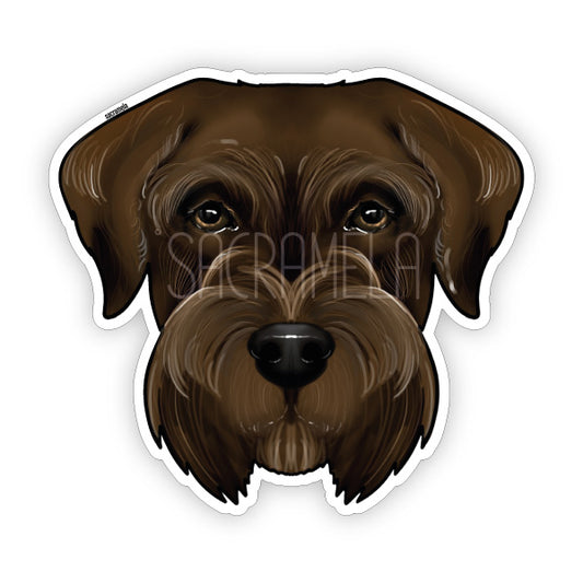 GIANT SCHNAUZER BROWN