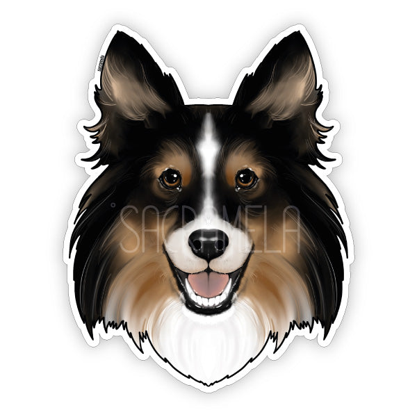 SHETLAND SHEEPDOG TRI COLOR