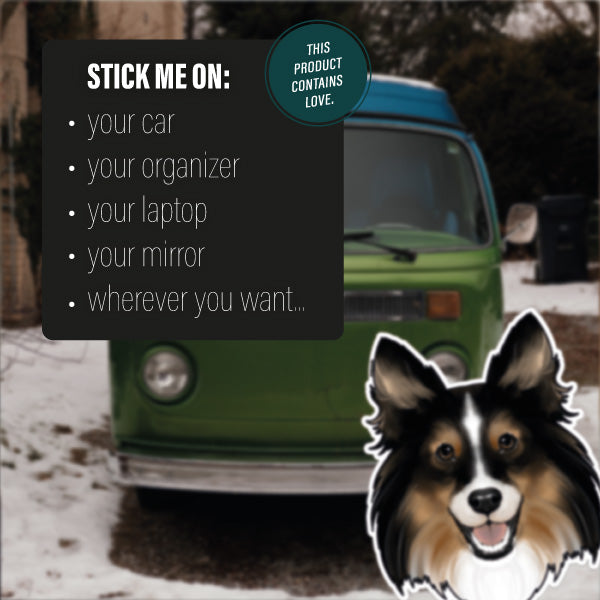 SHETLAND SHEEPDOG TRI COLOR