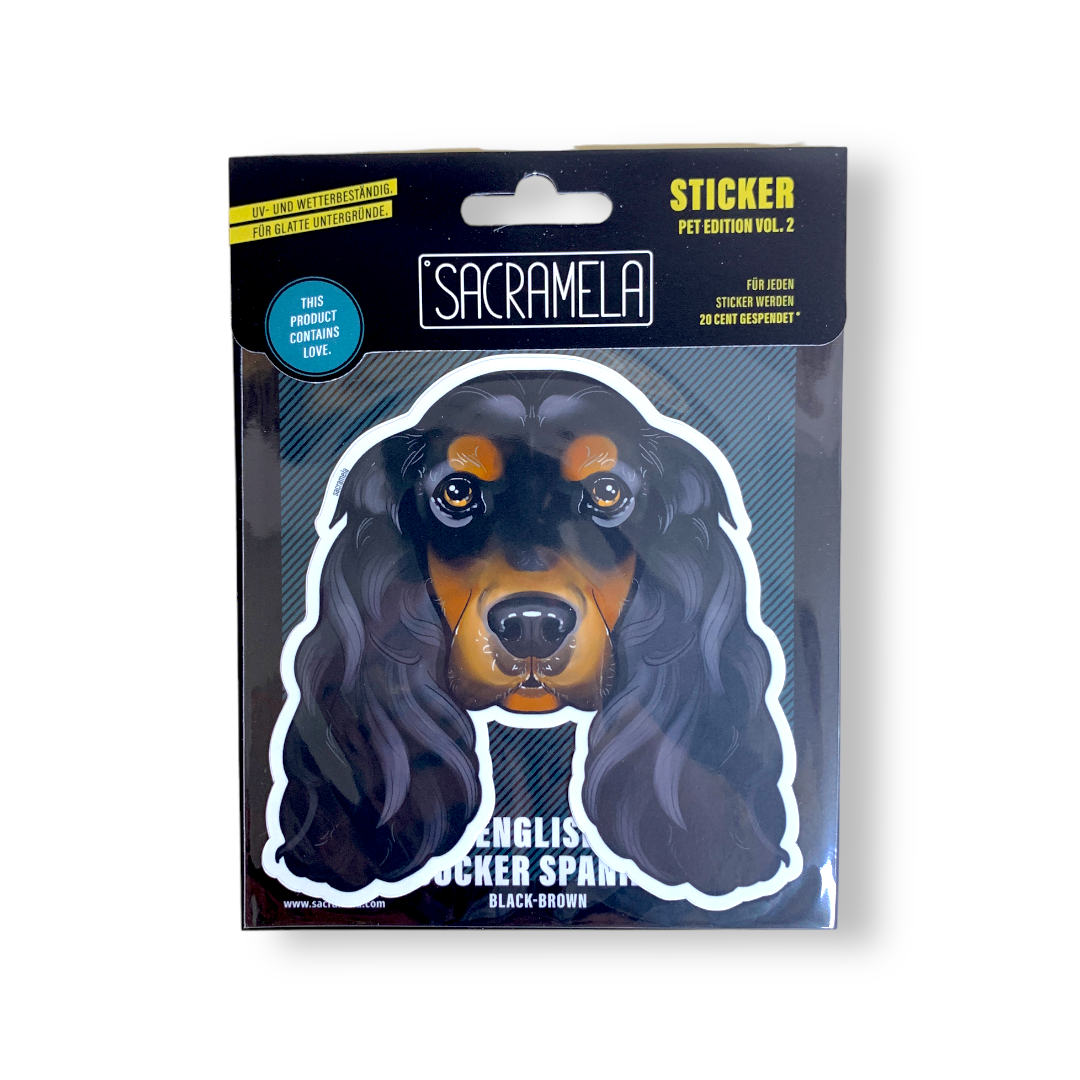 ENGLISH COCKER SPANIEL BLACK BROWN
