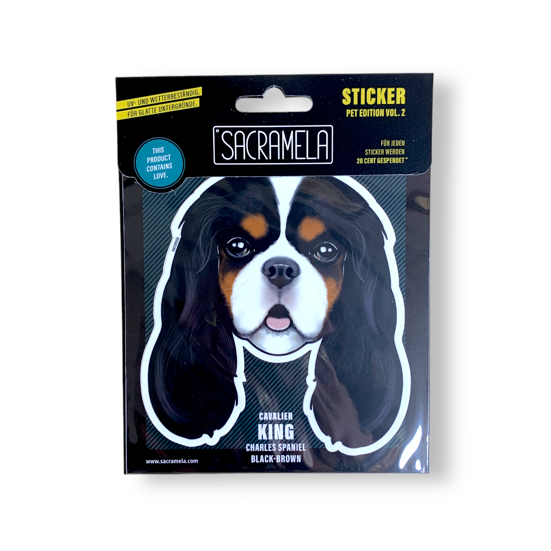 CAVALIER KING CHARLES SPANIEL TRI COLOR