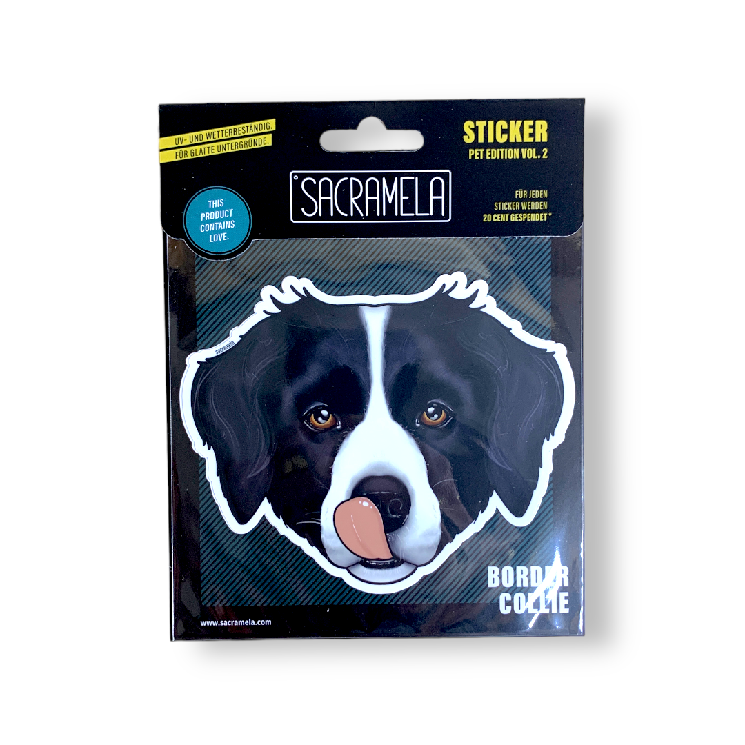 BORDER COLLIE