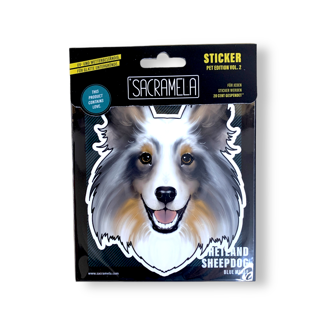 SHETLAND SHEEPDOG BLUE MERLE