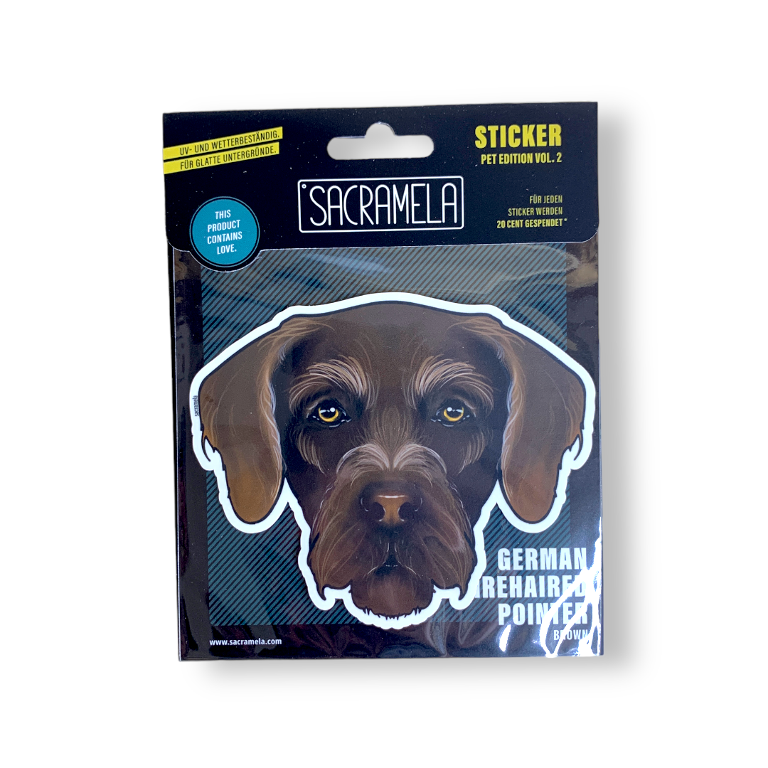 GERMAN WIREHAIRED POINTER BROWN