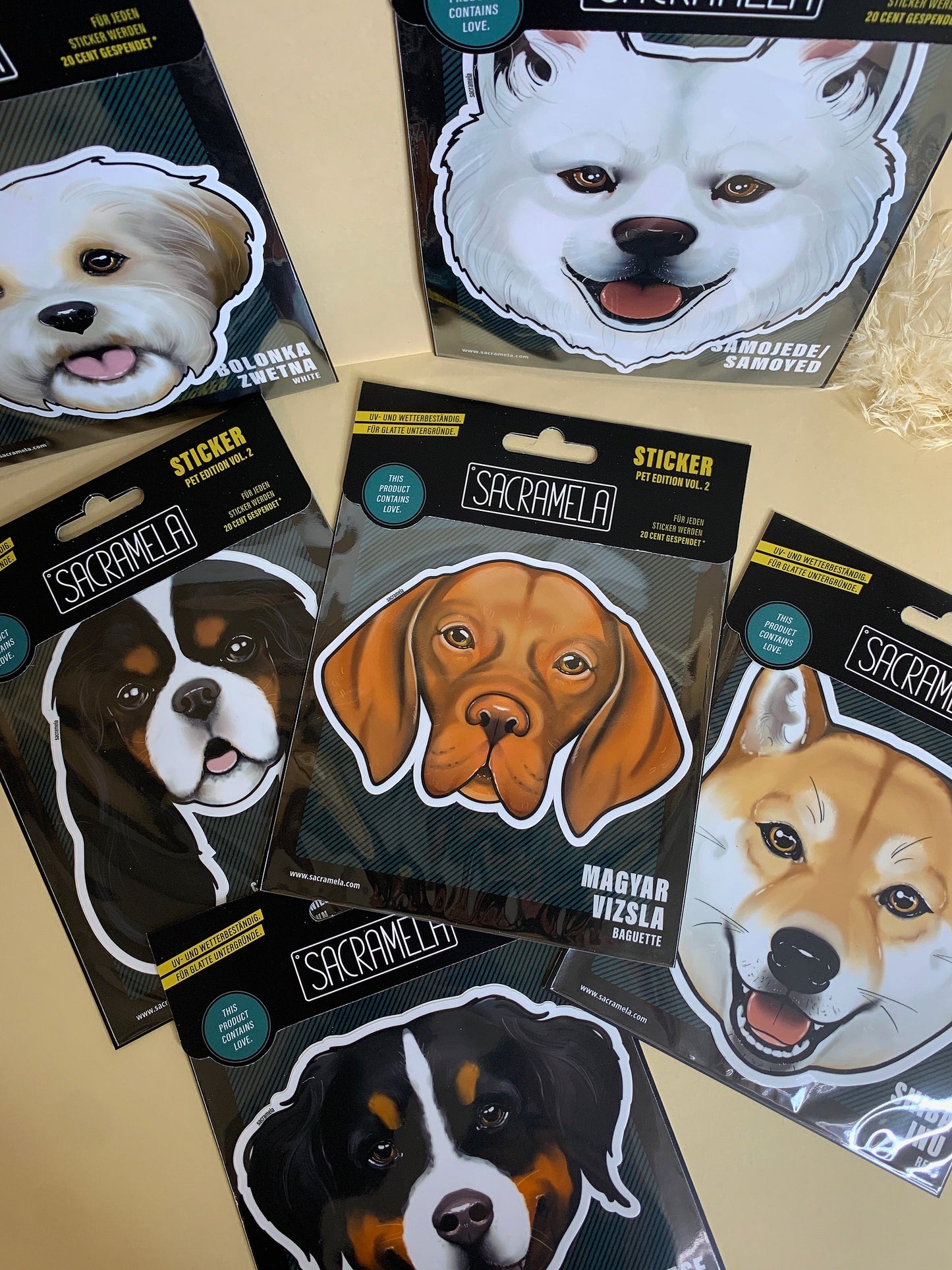 DEUTSCHE DOGGE SILVER