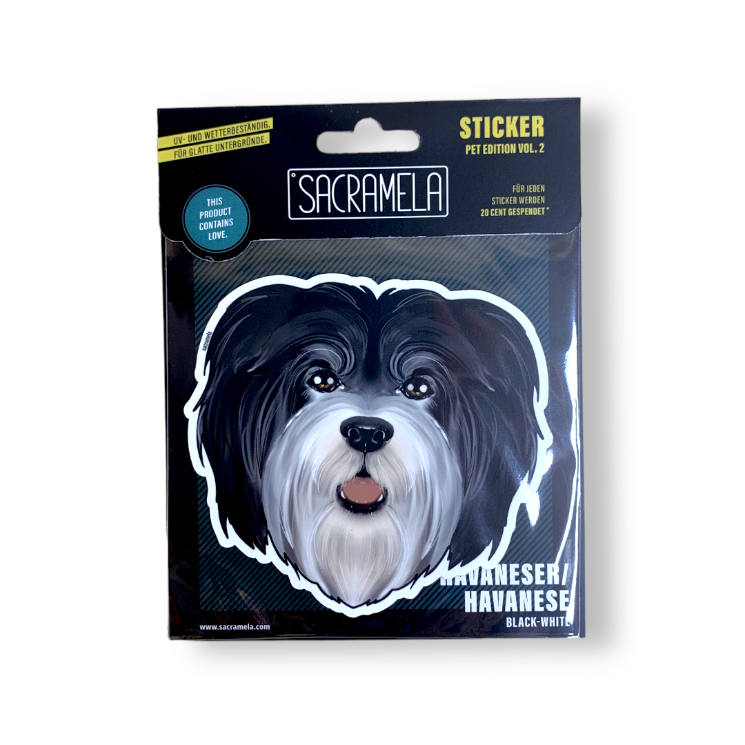 HAVANESE BLACK WHITE