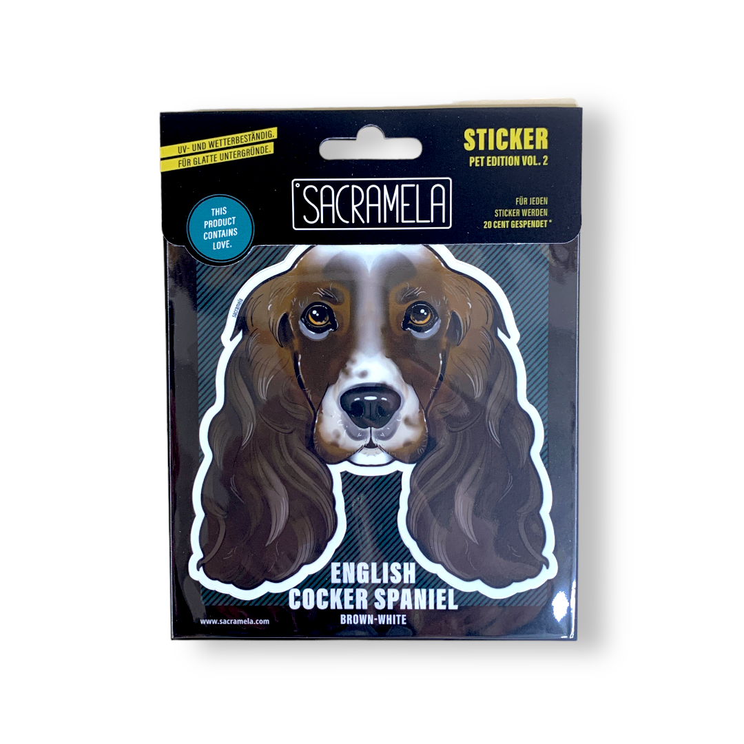 ENGLISH COCKER SPANIEL BROWN WHITE