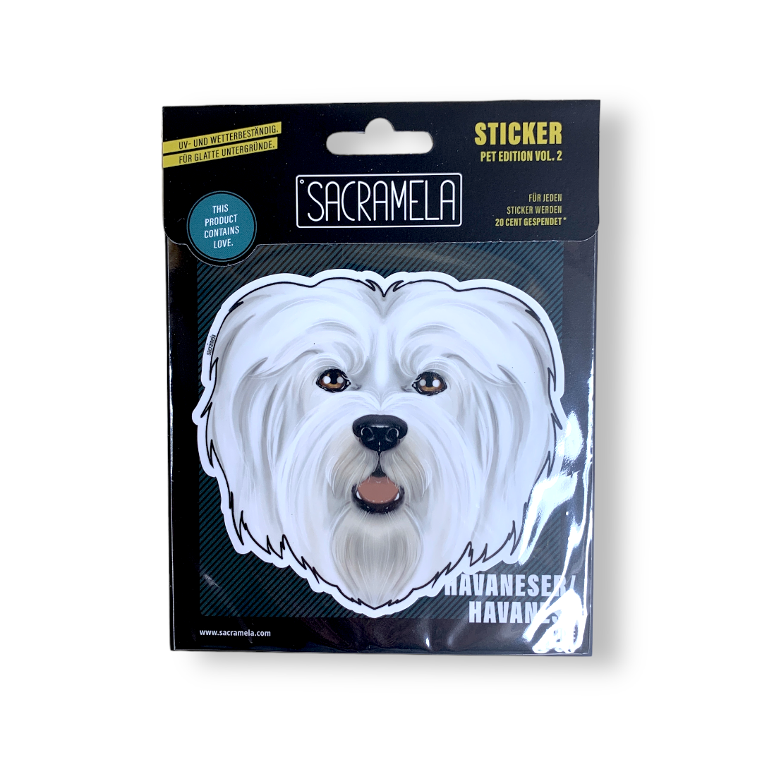 HAVANESE WHITE