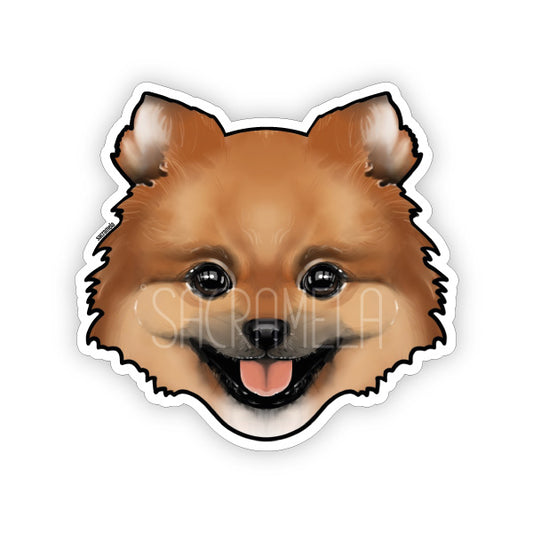 POMERANIAN BROWN