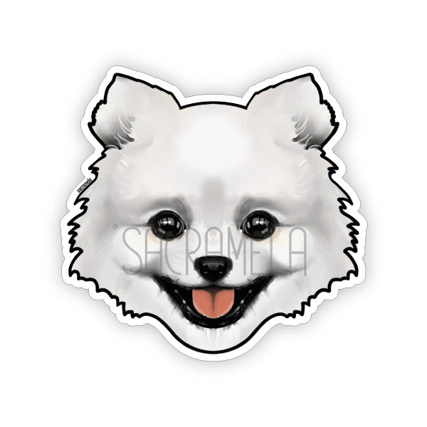 POMERANIAN WHITE