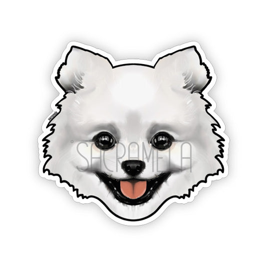 POMERANIAN WHITE