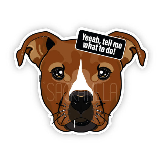 AMERICAN STAFFORDSHIRE TERRIER BROWN - WHITE