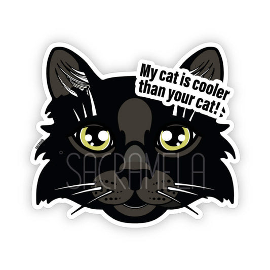 BLACK CAT LONGHAIRED