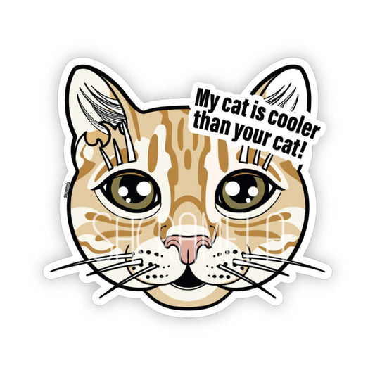GINGER TABBY CAT SHORTHAIRED