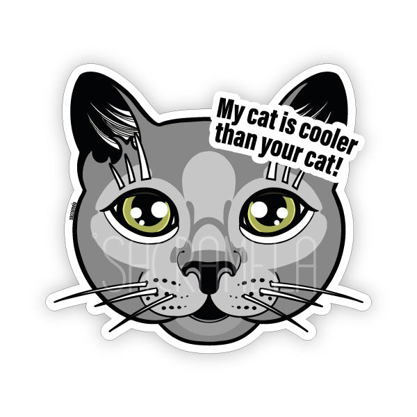 GREY CAT SHORTHAIRED