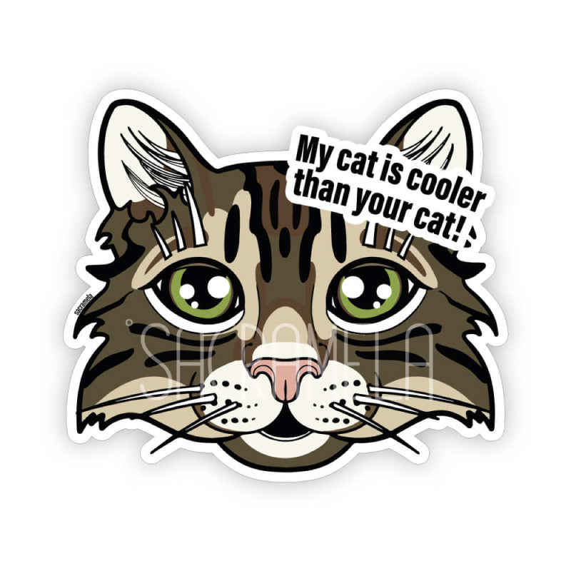 TIGER TABBY CAT LONGHAIRED