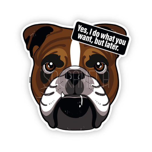 ENGLISH BULLDOG
