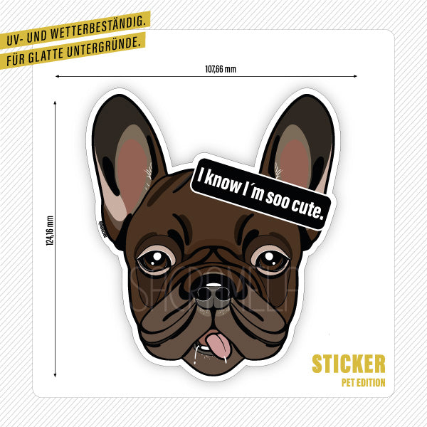 FRENCH BULLDOG CHOCOLATE
