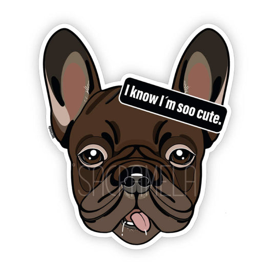 FRENCH BULLDOG CHOCOLATE