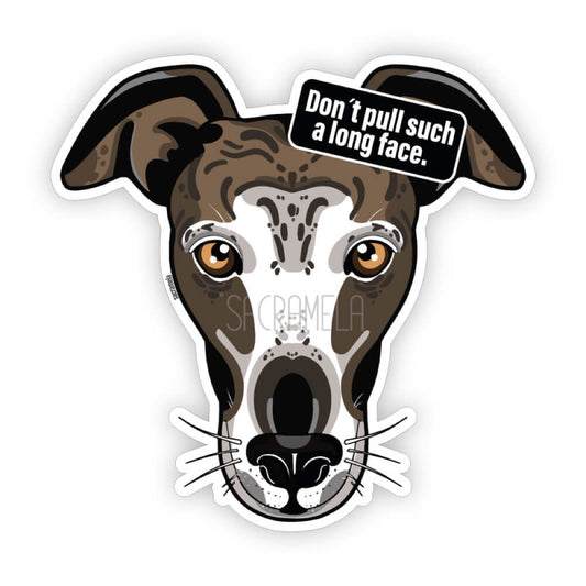 GALGO ESPANOL MULTICOLOR