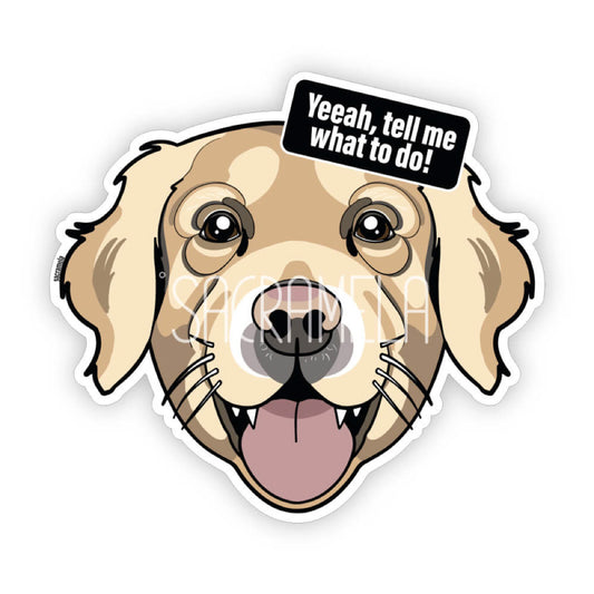 GOLDEN RETRIEVER LONGHAIR
