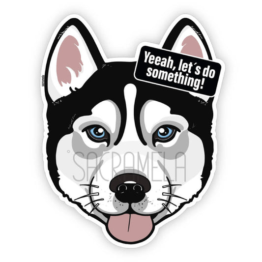 HUSKY BLACK